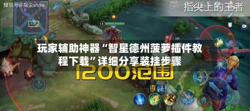 玩家辅助神器“智星德州菠萝插件教程下载”详细分享装挂步骤-第1张图片