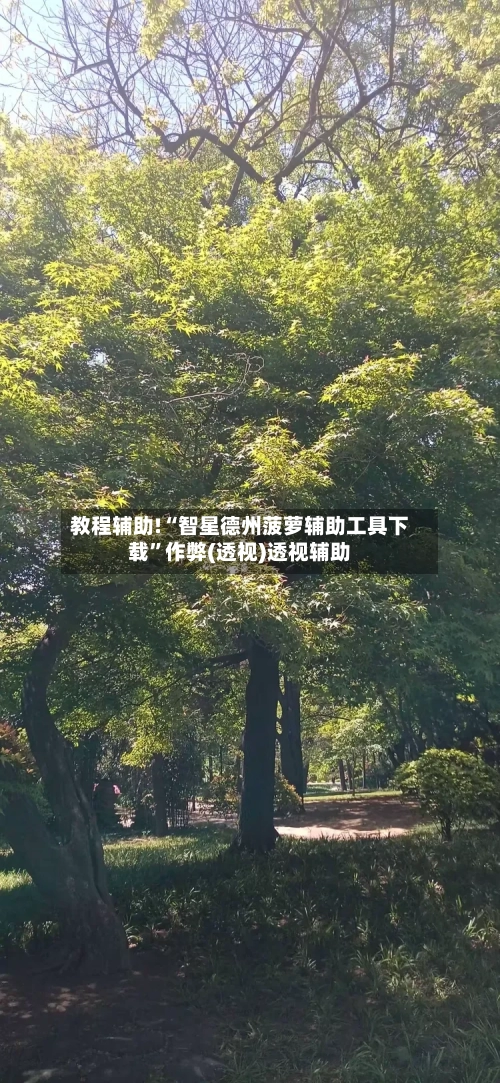 教程辅助!“智星德州菠萝辅助工具下载”作弊(透视)透视辅助-第1张图片