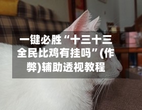 一键必胜“十三十三全民比鸡有挂吗	”(作弊)辅助透视教程-第1张图片