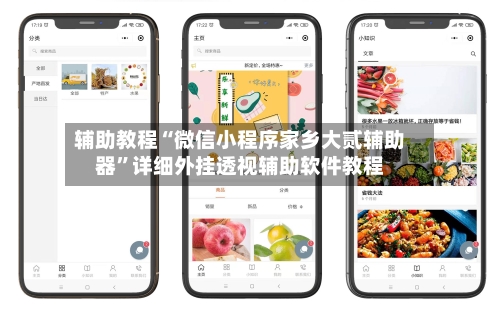 辅助教程“微信小程序家乡大贰辅助器	”详细外挂透视辅助软件教程-第1张图片