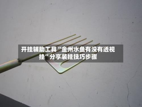 开挂辅助工具“金州水鱼有没有透视挂”分享装挂技巧步骤-第1张图片