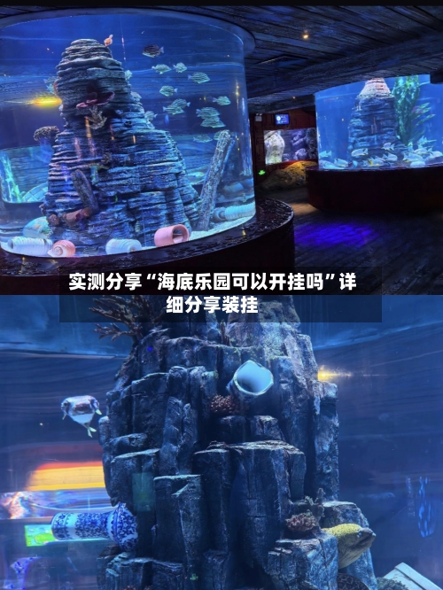 实测分享“海底乐园可以开挂吗”详细分享装挂-第1张图片