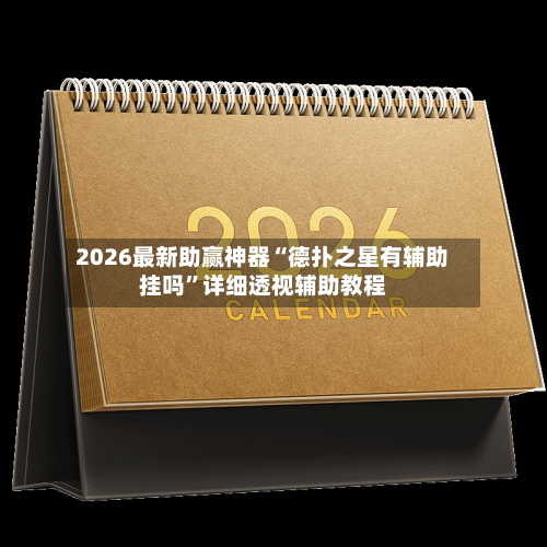 2026最新助赢神器“德扑之星有辅助挂吗”详细透视辅助教程-第1张图片