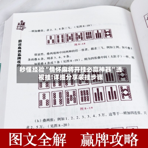 秒懂经验“情怀麻将开挂必赢神器”透视挂!详细分享装挂步骤-第1张图片