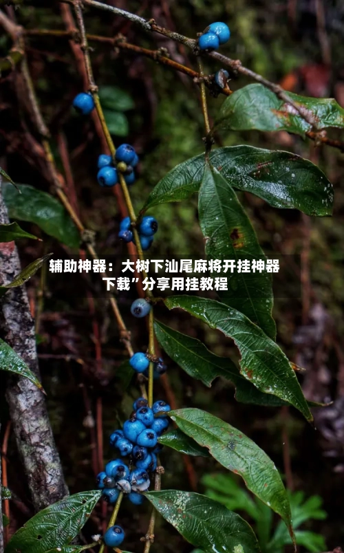 辅助神器：大树下汕尾麻将开挂神器下载”分享用挂教程-第1张图片