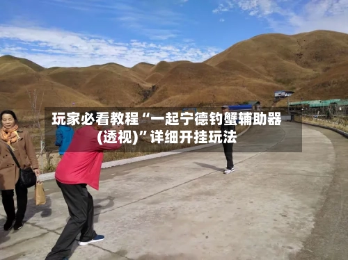 玩家必看教程“一起宁德钓蟹辅助器(透视)”详细开挂玩法-第1张图片