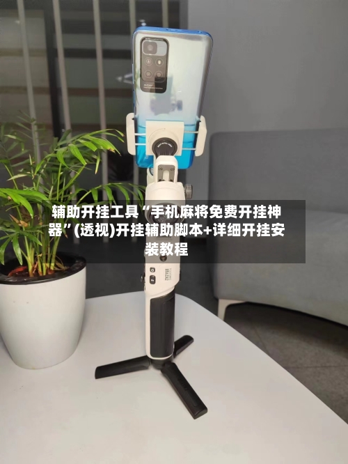 辅助开挂工具“手机麻将免费开挂神器”(透视)开挂辅助脚本+详细开挂安装教程-第1张图片