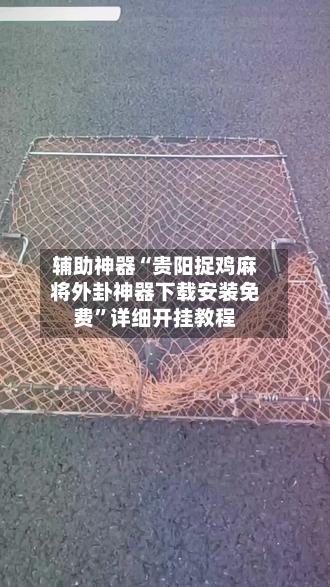辅助神器“贵阳捉鸡麻将外卦神器下载安装免费”详细开挂教程-第1张图片