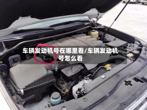 车辆发动机号在哪里看/车辆发动机号怎么看-第1张图片