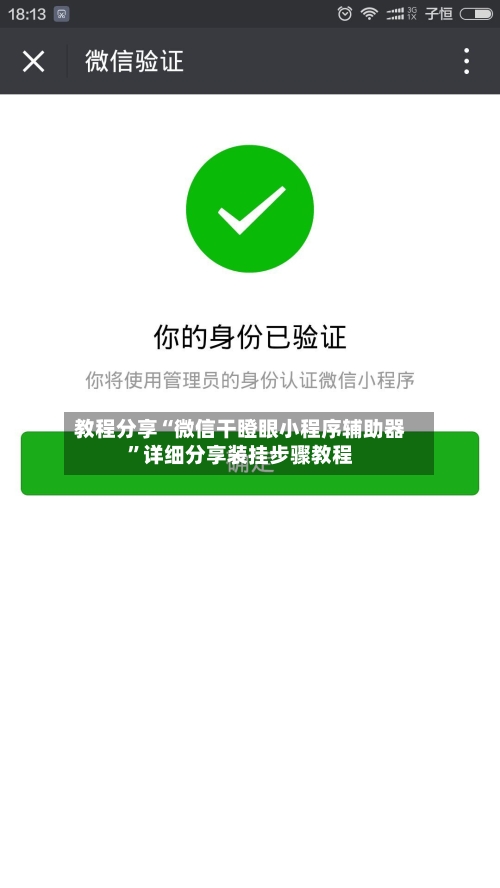教程分享“微信干瞪眼小程序辅助器”详细分享装挂步骤教程-第1张图片