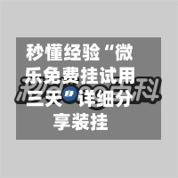 秒懂经验“微乐免费挂试用三天”详细分享装挂-第1张图片