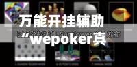 万能开挂辅助“wepoker真的有透视吗	”详细分享装挂步骤-第1张图片