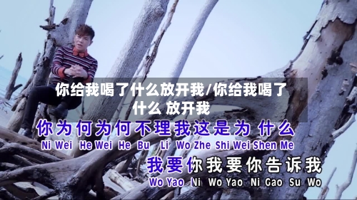 你给我喝了什么放开我/你给我喝了什么 放开我-第1张图片