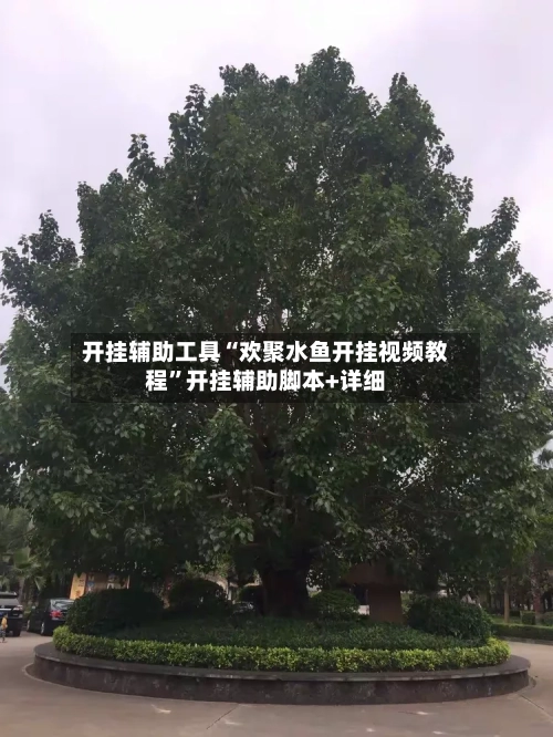 开挂辅助工具“欢聚水鱼开挂视频教程”开挂辅助脚本+详细-第1张图片