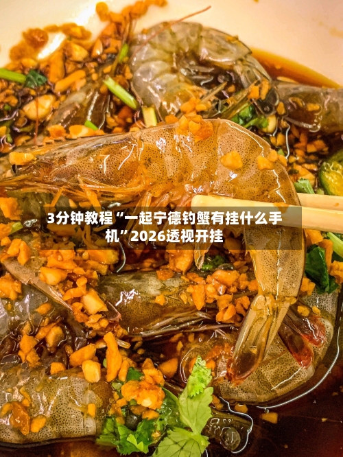 3分钟教程“一起宁德钓蟹有挂什么手机”2026透视开挂-第1张图片