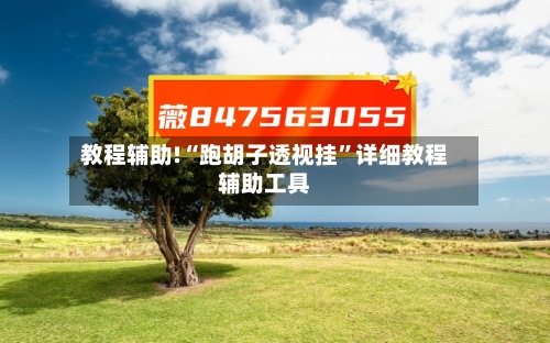 教程辅助!“跑胡子透视挂”详细教程辅助工具-第1张图片