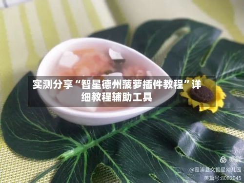 实测分享“智星德州菠萝插件教程”详细教程辅助工具-第1张图片