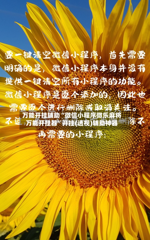 万能开挂辅助“微信小程序微乐麻将万能开挂器”开挂(透视)辅助神器-第1张图片