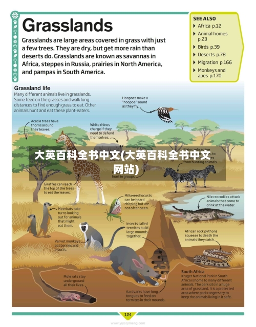 大英百科全书中文(大英百科全书中文网站)-第1张图片