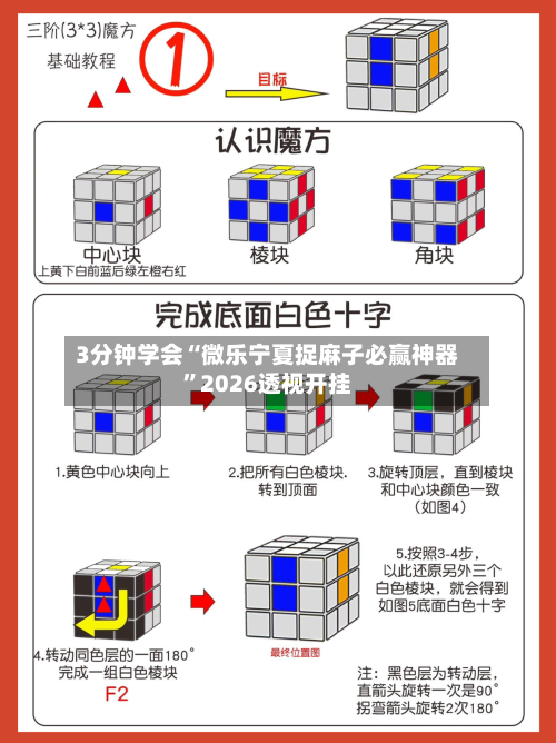 3分钟学会“微乐宁夏捉麻子必赢神器”2026透视开挂-第1张图片