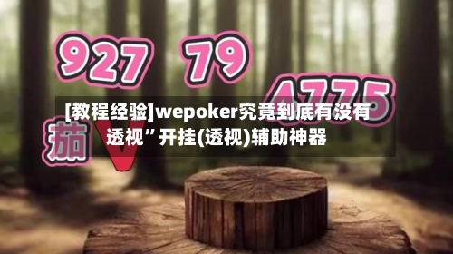 [教程经验]wepoker究竟到底有没有透视	”开挂(透视)辅助神器-第1张图片