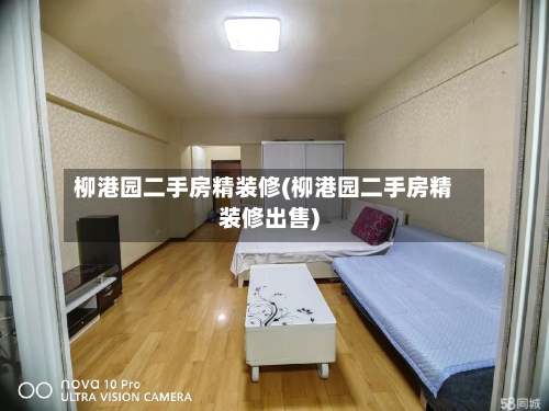 柳港园二手房精装修(柳港园二手房精装修出售)-第1张图片