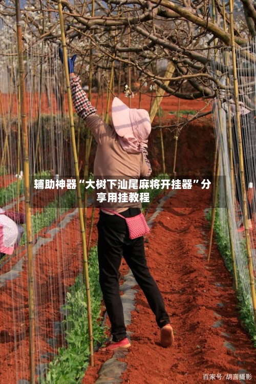 辅助神器“大树下汕尾麻将开挂器”分享用挂教程-第1张图片