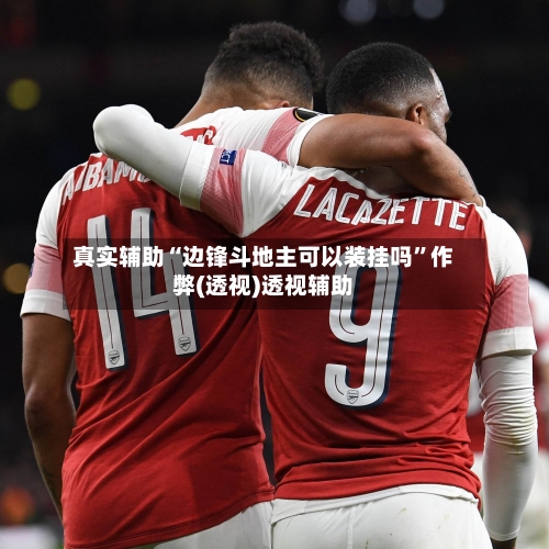 真实辅助“边锋斗地主可以装挂吗	”作弊(透视)透视辅助-第1张图片