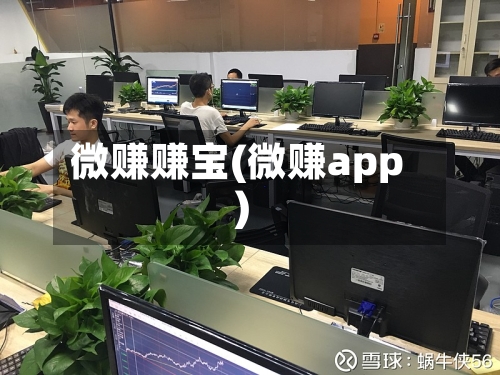 微赚赚宝(微赚app)-第1张图片