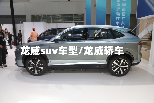 龙威suv车型/龙威轿车-第1张图片