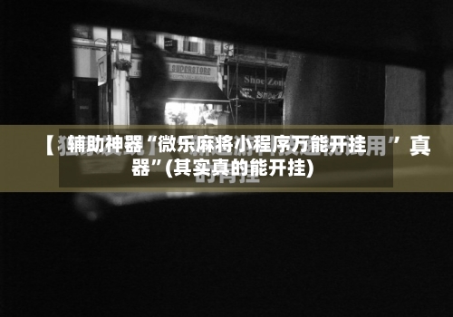 辅助神器“微乐麻将小程序万能开挂器	”(其实真的能开挂)-第1张图片
