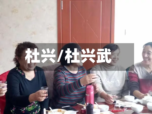 杜兴/杜兴武-第1张图片