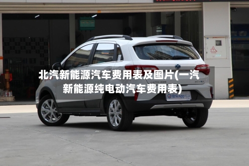 北汽新能源汽车费用表及图片(一汽新能源纯电动汽车费用表)-第1张图片