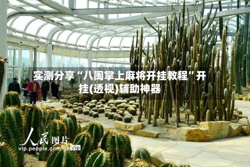 实测分享“八闽掌上麻将开挂教程”开挂(透视)辅助神器-第1张图片