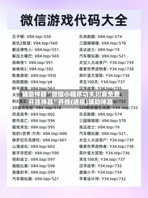 辅助神器“微信小程序功夫川麻免费开挂神器”开挂(透视)辅助神器-第1张图片