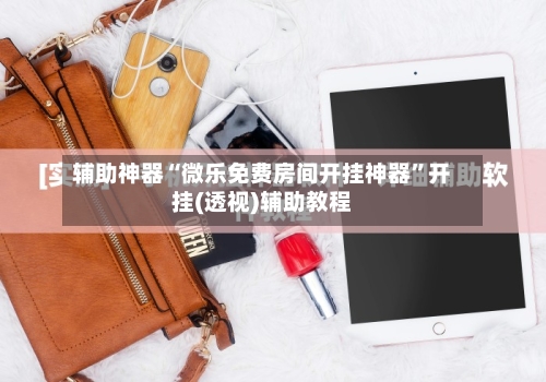 辅助神器“微乐免费房间开挂神器”开挂(透视)辅助教程-第1张图片