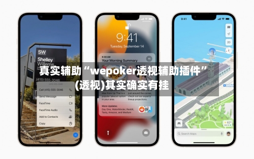 真实辅助“wepoker透视辅助插件	”(透视)其实确实有挂-第1张图片