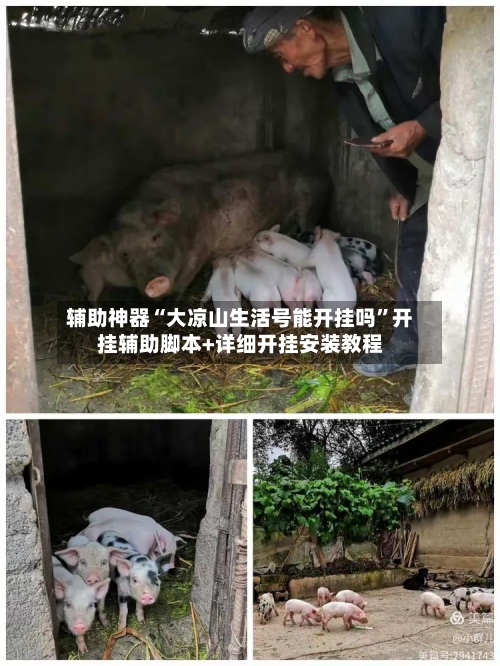 辅助神器“大凉山生活号能开挂吗”开挂辅助脚本+详细开挂安装教程-第1张图片