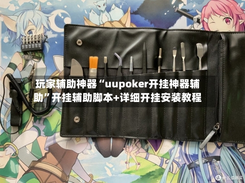 玩家辅助神器“uupoker开挂神器辅助	”开挂辅助脚本+详细开挂安装教程-第1张图片
