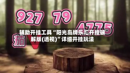 辅助开挂工具“阳光岛牌乐汇开挂破解版(透视)	”详细开挂玩法-第1张图片