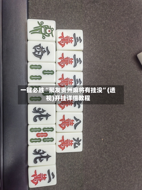 一键必胜“聚友贵州麻将有挂没”(透视)开挂详细教程-第1张图片