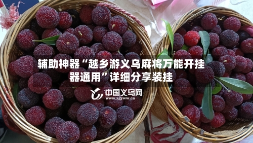 辅助神器“越乡游义乌麻将万能开挂器通用”详细分享装挂-第1张图片