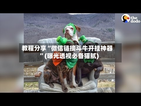 教程分享“微信链接斗牛开挂神器”(曝光透视必备猫腻)-第1张图片