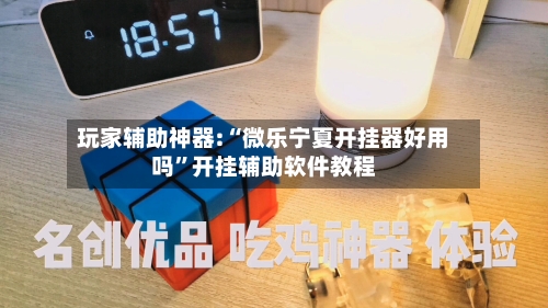 玩家辅助神器:“微乐宁夏开挂器好用吗	”开挂辅助软件教程-第1张图片