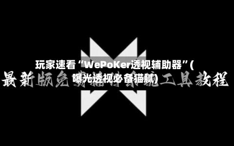玩家速看“WePoKer透视辅助器”(曝光透视必备猫腻)-第1张图片