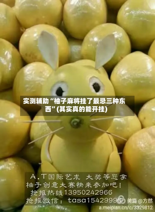 实测辅助“柚子麻将挂了最忌三种东西”(其实真的能开挂)-第1张图片