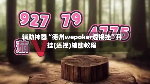 辅助神器“德州wepoker透视挂”开挂(透视)辅助教程-第1张图片