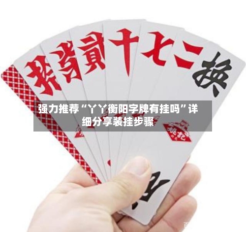 强力推荐“丫丫衡阳字牌有挂吗	”详细分享装挂步骤-第1张图片
