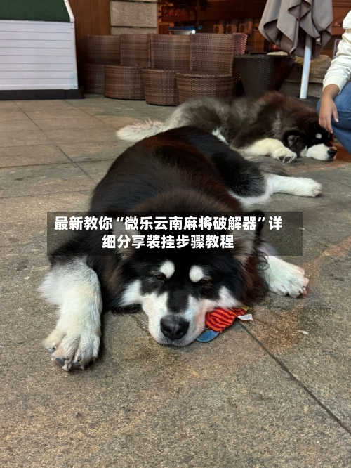 最新教你“微乐云南麻将破解器”详细分享装挂步骤教程-第1张图片