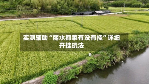 实测辅助“丽水都莱有没有挂	”详细开挂玩法-第1张图片